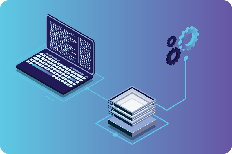 DBM-License-spotter-Illustrations-04-scaled800